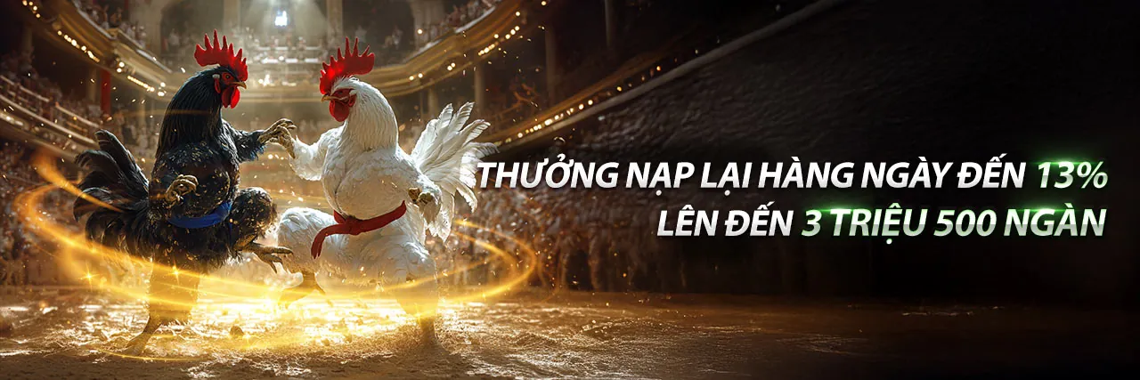 Hình ảnh chính về tối ưu hóa trải nghiệm di động CQ9 chính thức